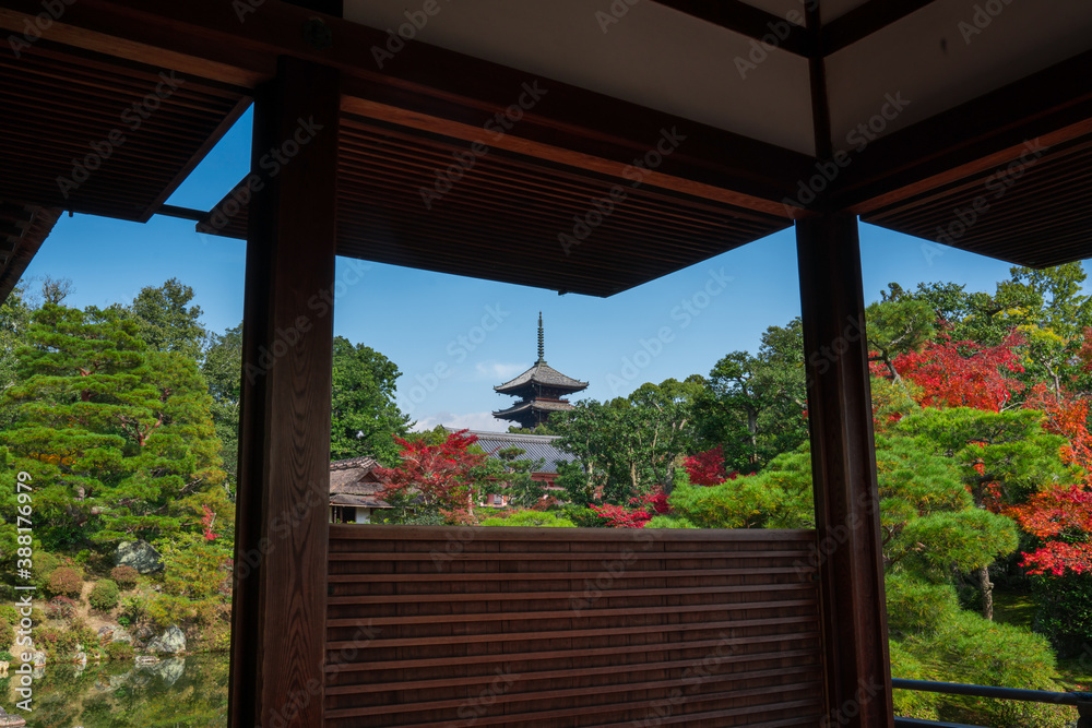 京都 仁和寺の紅葉 京都 仁和寺の紅葉
