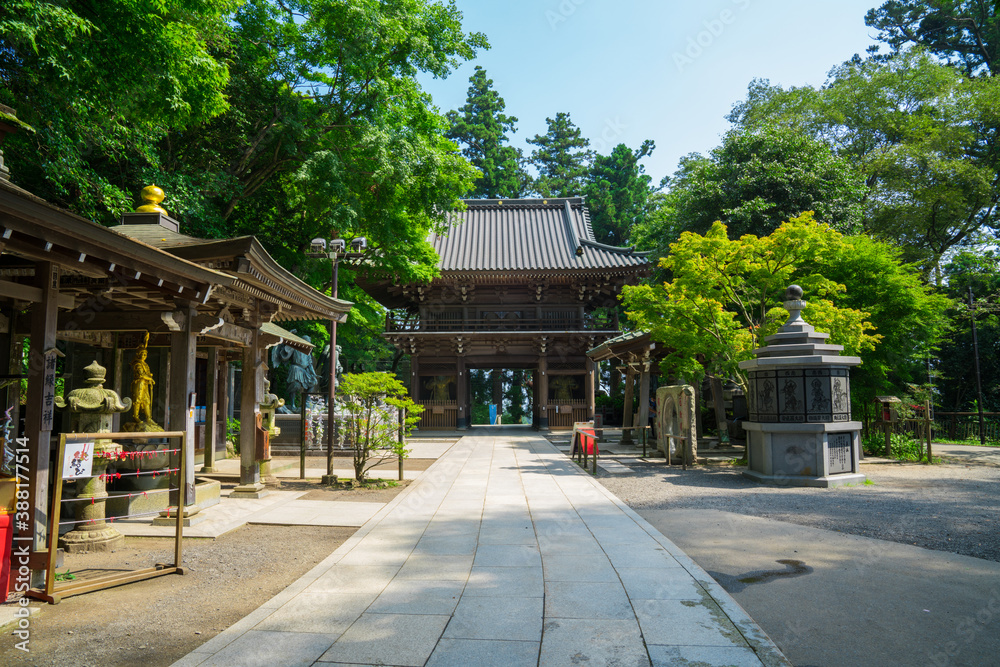 	高尾山薬王院の山門