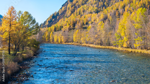 Autumn view of a mountain river. Sunny day. Wild place in Siberia.