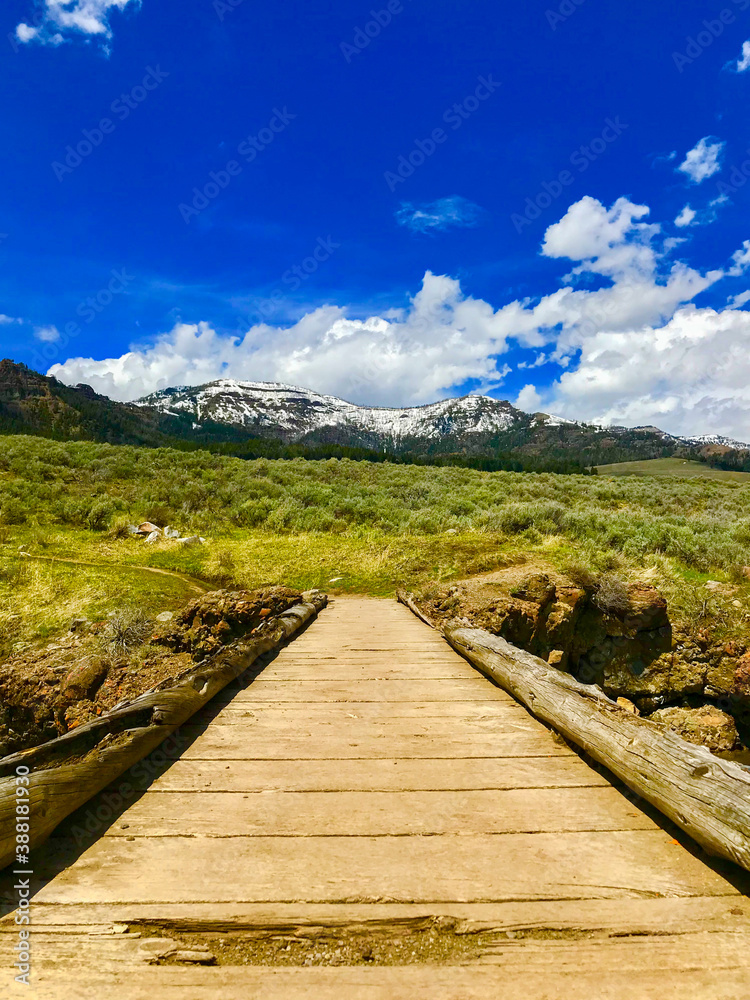 wooden bridge in the mountains wooden bridge in the mountains