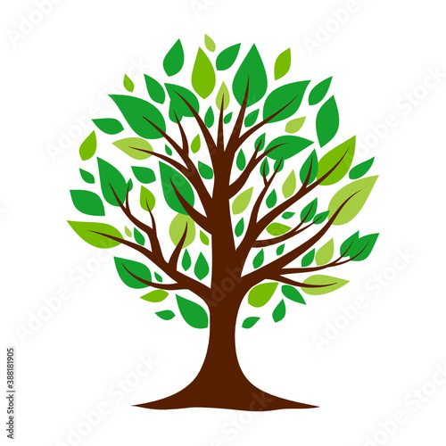 Tree with green leaves isolated on white background.