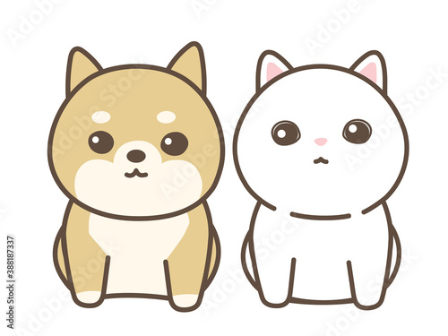 柴犬と白猫　横並び