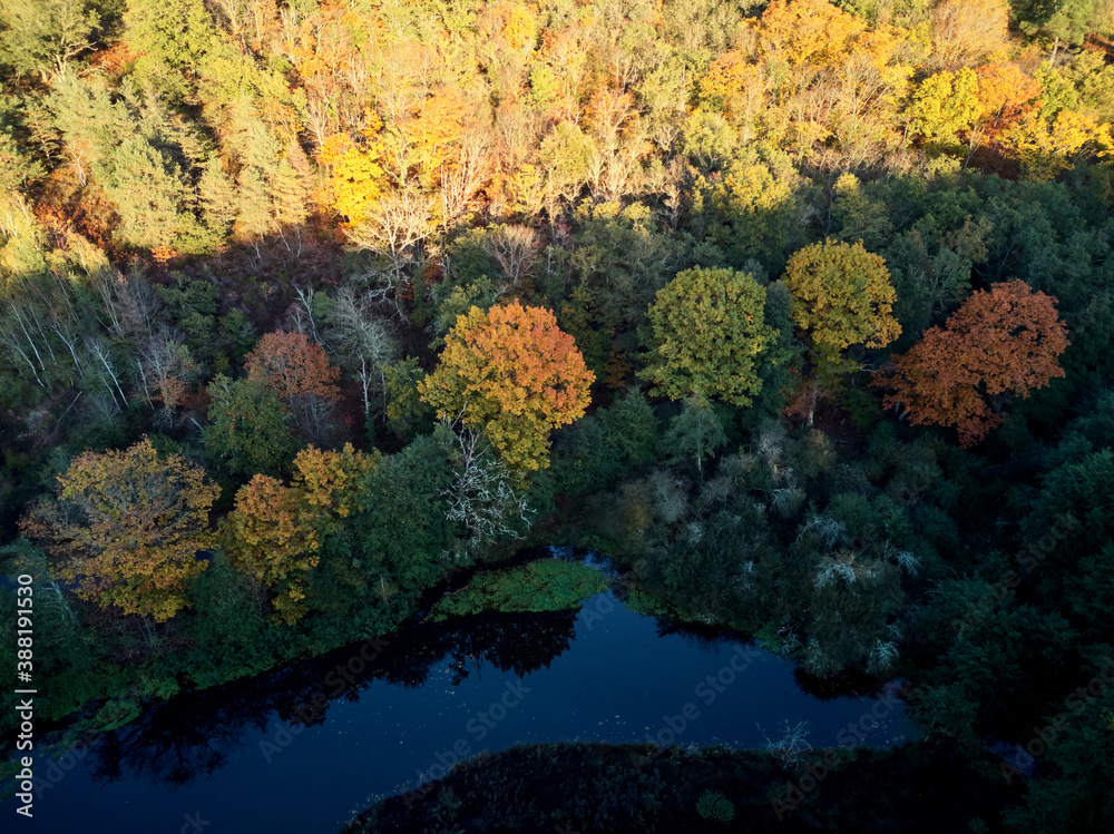 Vue aérienne de la forêt et d’un étang à l’automne.