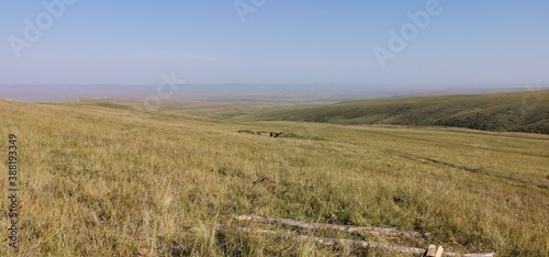 Fototapeta Naklejka Na Ścianę i Meble -  field of wheat