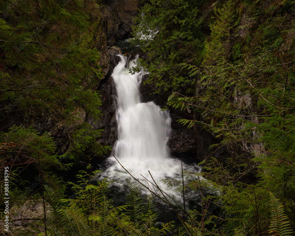 Obraz premium waterfall in the mountains