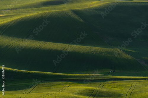 Rolling hills 