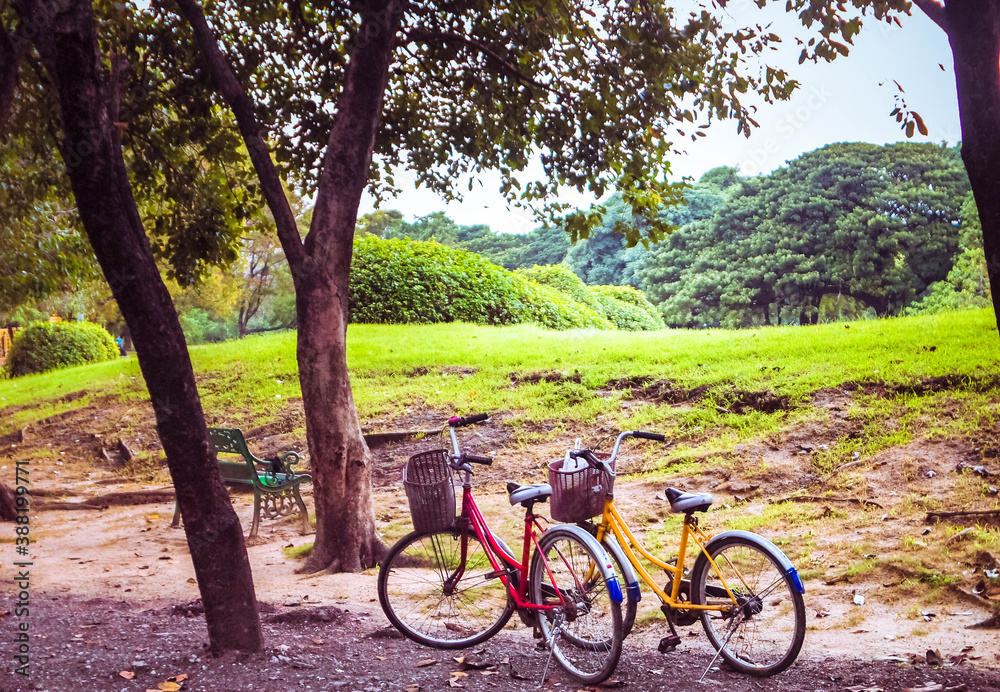 Fototapeta premium Classic Vintage Retro Bicycle Stop in Park