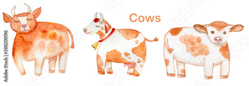 Cute cows. Farm animals. Hand drawn Watercolor elements. Isolated on white background.