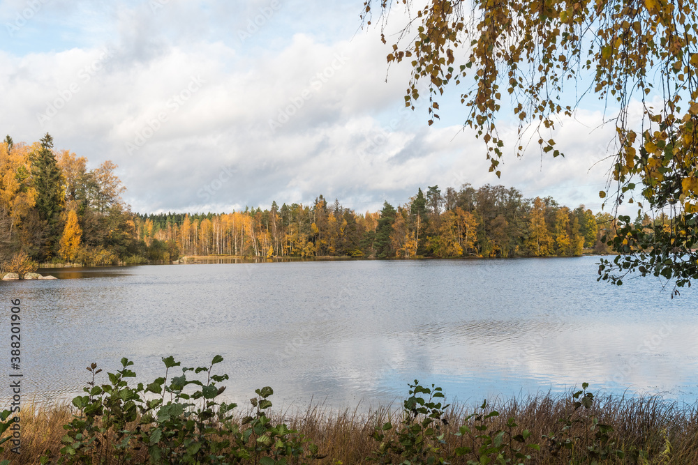 Serene lake view in fall season