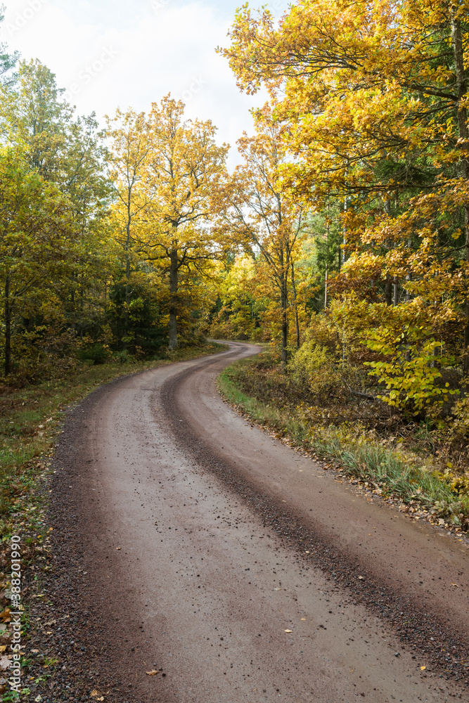 Winding gravel road in fall season colors
