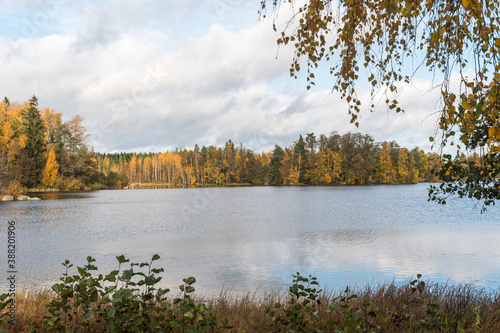 Serene lake view in fall season