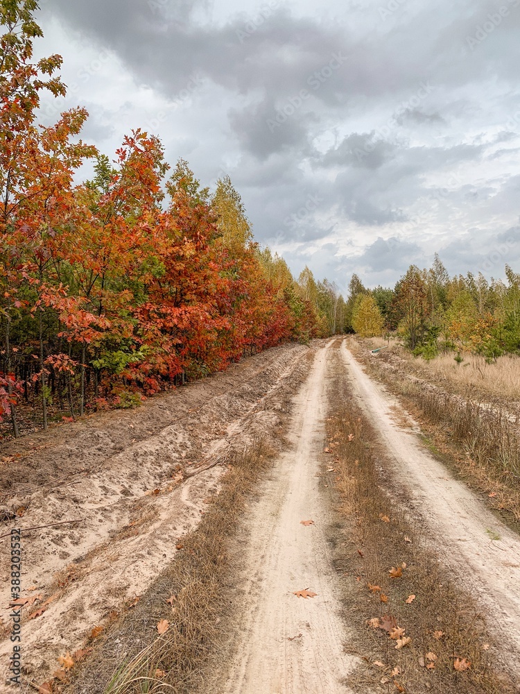 road in autumn