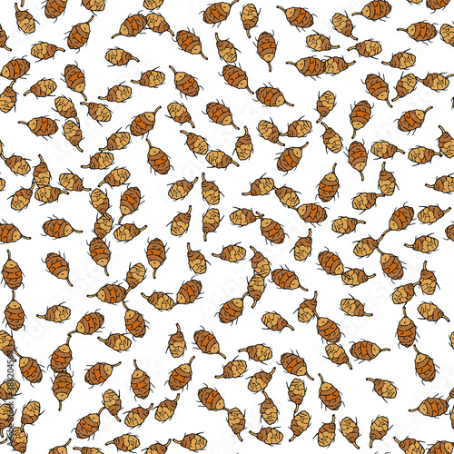 Seamless pattern with hand drawn chufa tubers