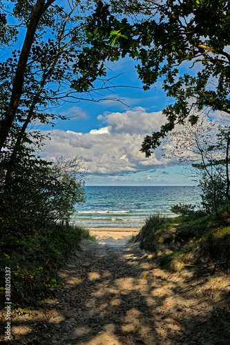 Der Rügener " Märchenwald " an der Küste zwischen Müllerrinne und Nonnevitz auf der Halbinsel Wittow auf der Insel Rügen. © Michael