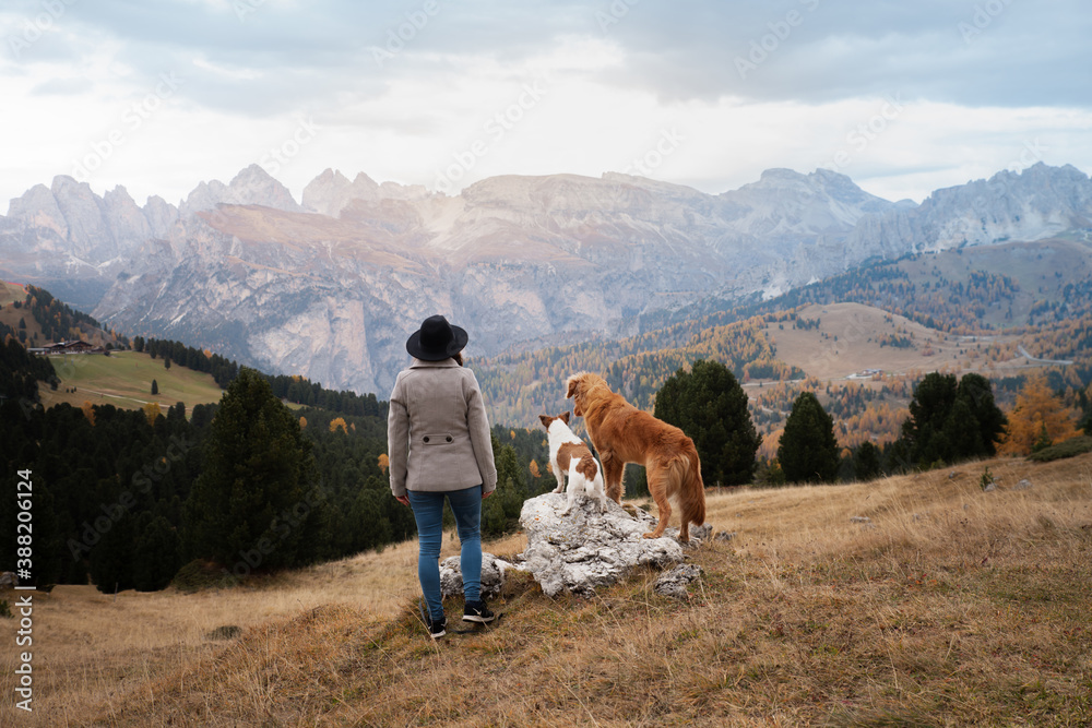 traveler with a two dogs in the autumn mountains. Nova Scotia Duck Tolling Retriever and Jack Russell Terrier 