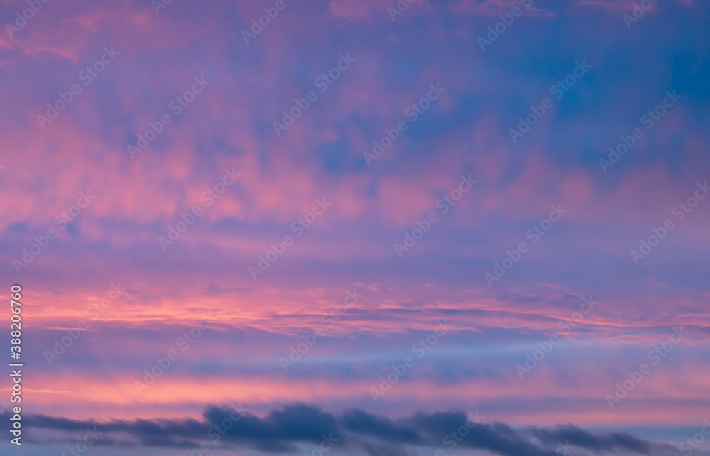Pink sky Pink sky