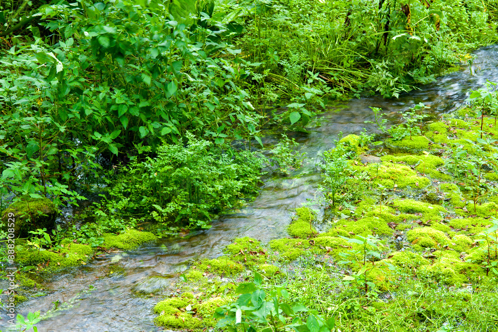 姫川源流湧き水