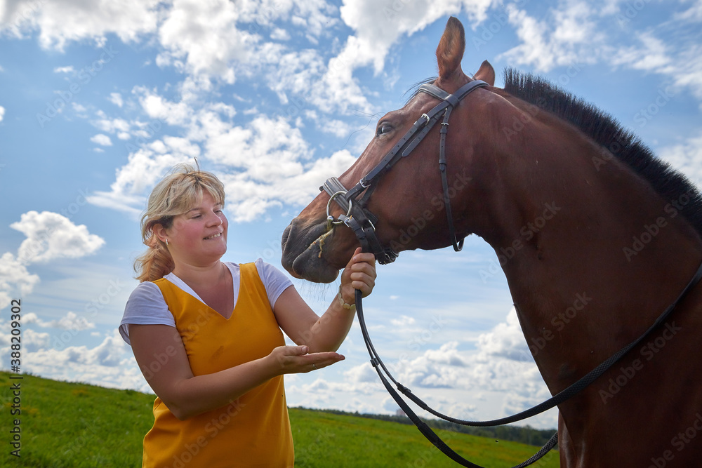 Obraz premium Girl in yellow dress with a horse on a green field and a blue sky with white clouds on the background