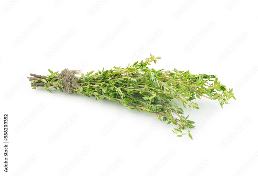 green thyme bunch an isolated on white background green thyme bunch an isolated on white background