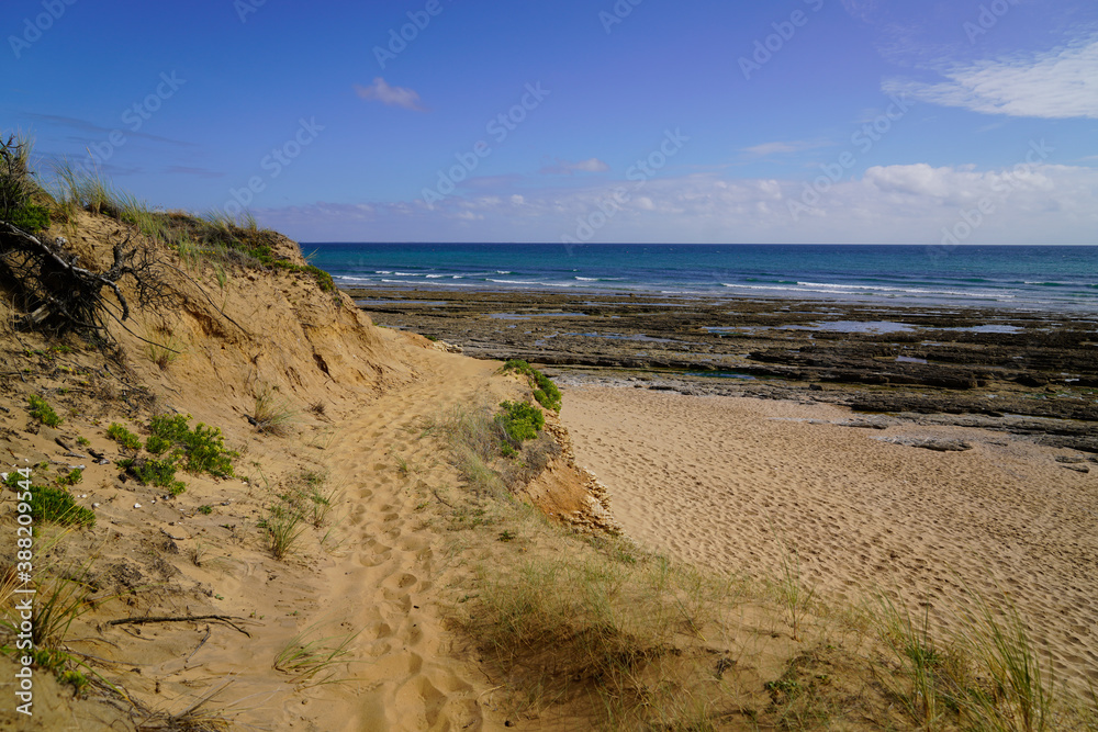 sand access french sea coast with sunny atlantic beach ocean in summer day sand access french sea coast with sunny atlantic beach ocean in summer day