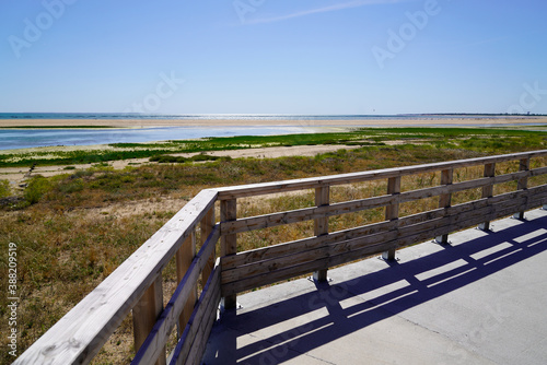 wooden access to sand beach atlantic ocean in Jard sur Mer in vendee france