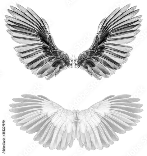 Angel wings isolated on whitebackground © pisut