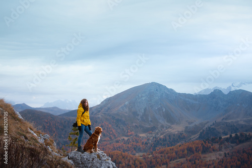 girl with a dog in the mountains. travel, Nova Scotia Duck Tolling Retriever with with a woman in a yellow jacket stand on a stone near a cliff