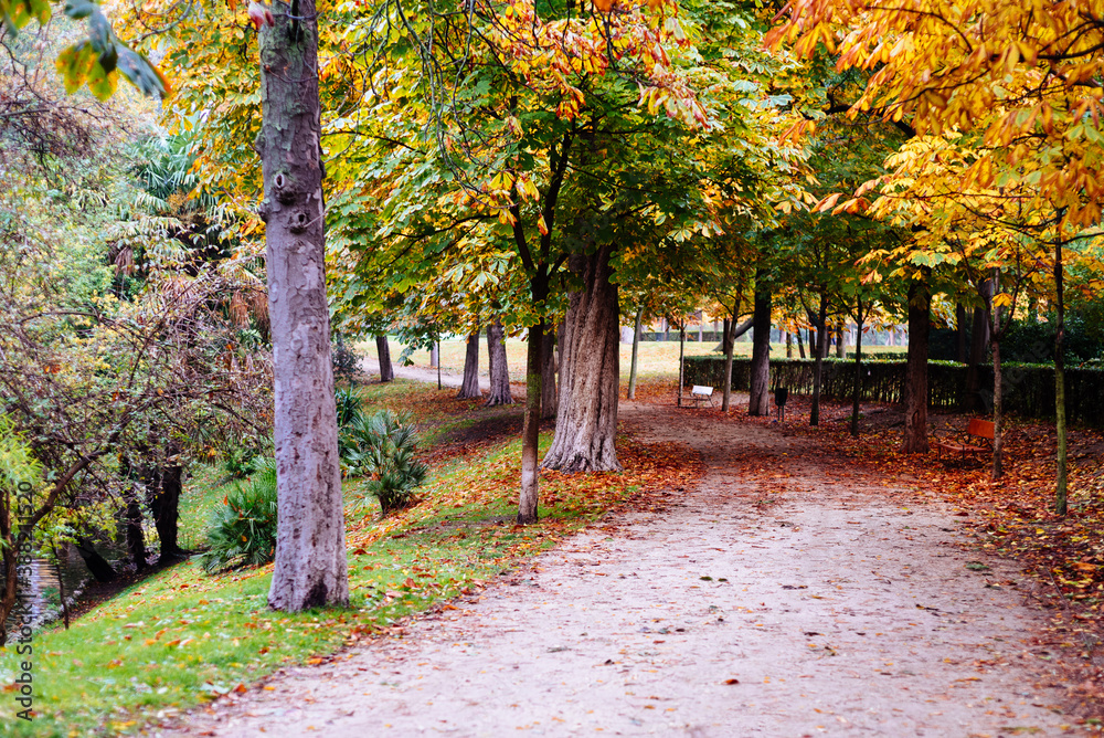 Naklejka premium Scene of the Buen Retiro Park in Madrid during the fall with vibrant colors and the paths covered with fallen leaves