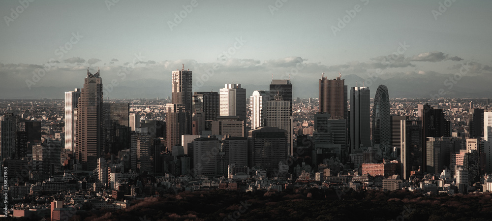 Fototapeta premium 渋谷の日暮れ