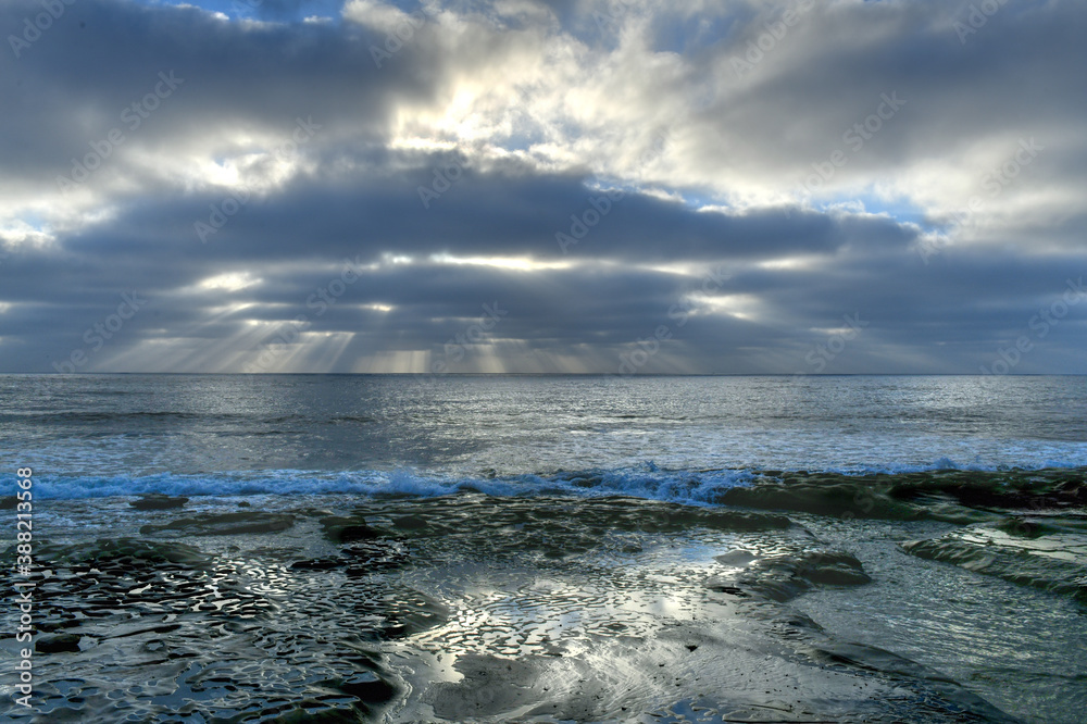 Tide Pools - La Jolla Tide Pools - La Jolla