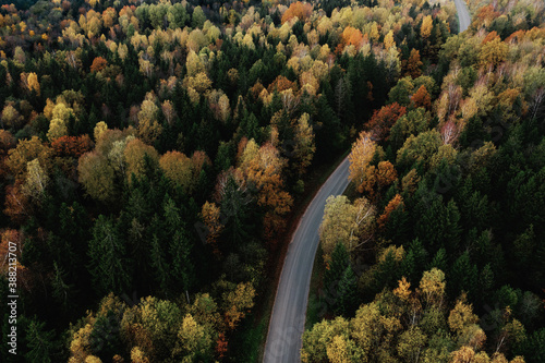 Aerial view of the road passing through the colorful autumn forest © smiltena