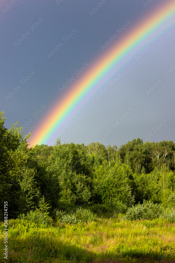 Rainbow over the summer mixed forest, cloudy sky and clear rainbow colors, forest road. Natural landscape. Rainbow colors after rain. Rain clouds. Rainbow over the summer mixed forest, cloudy sky and clear rainbow colors, forest road. Natural landscape. Rainbow colors after rain. Rain clouds.
