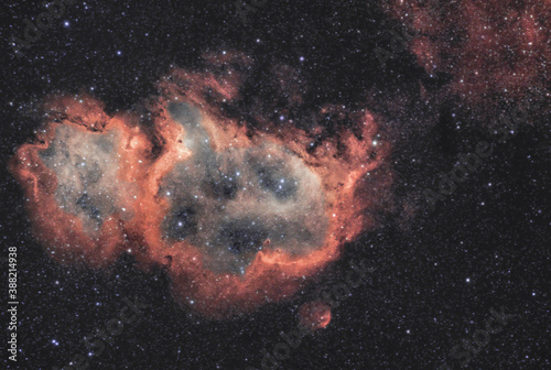 Nebulosa Anima IC 1848