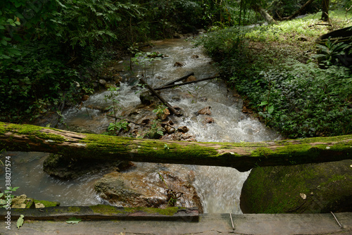 Trees were used to make bridges and railings. To cross a stream in the Mae Wong National Park  Kamphaeng Phet  Thailand.