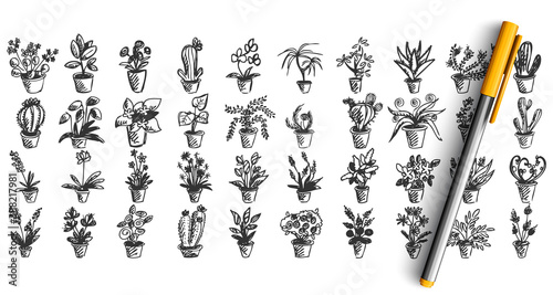 Houseplants doodle set. Collection of pencil pen hand drawn sketches templates patterns of home grown weed flowers in pots isolated in line. Flora and botanical eco organics elements illustration.