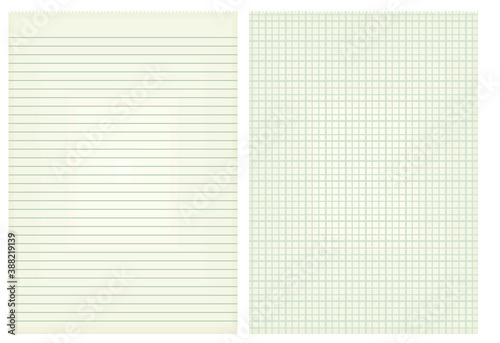 Lines and squares sheet paper. vector