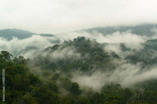 Beautiful landscape scenery of the sea of fog floating above the forest and the mountain when viewed from Pha Tang viewpoint,  Kamphaeng Phet, Thailand. © ULTRAPOK