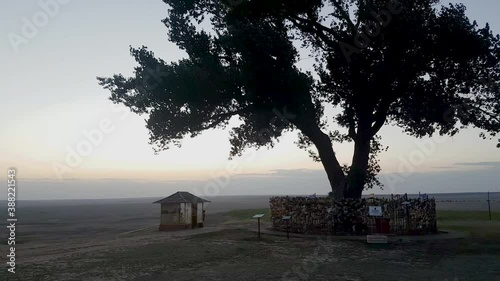 Single poplar tree on a wind. Buddhism religion place