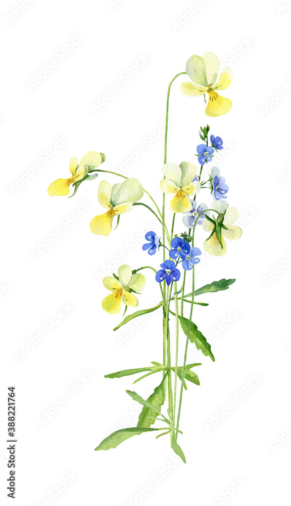 Obraz premium Small bouquet of watercolor wildflowers violet and veronica on white background