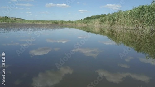 Landscape of a small lake or pond overgrown with reeds. Calm lake surface