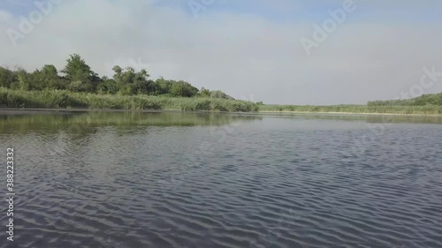 Landscape of a small lake or pond overgrown with reeds. Calm lake surface