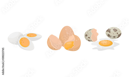 Raw Egg with Broken Shell, Boiled and Scrambled Eggs Vector Set