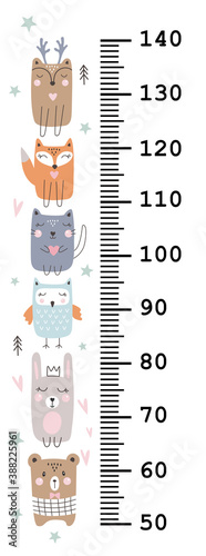 Meter wall with cute animals on white background. Vector