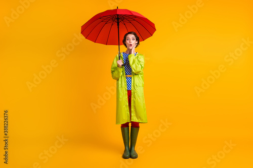 Full length photo portrait of surprised girl touching face cheek with one hand under umbrella isolated on vivid yellow colored background