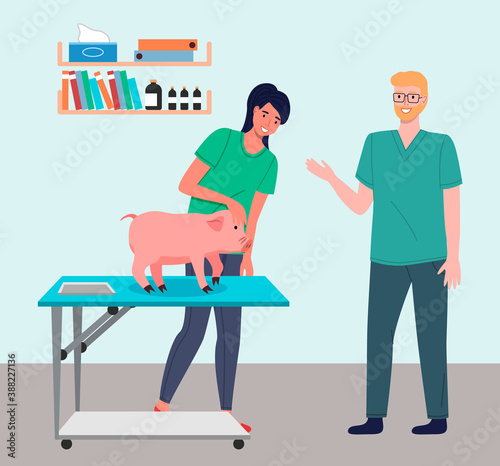 Veterinarian man and woman with pig in the medical office. Doctor with nurse discuss condition of liitle pink piggy standing on medical table. Visit to the vet clinic to check the health of the animal