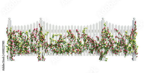 3d Render Ivy Plants Isolated on white
