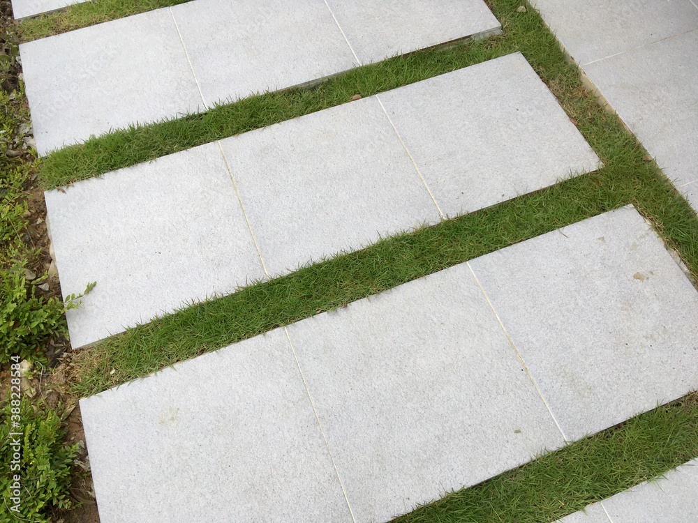 Fototapeta premium grass on the road