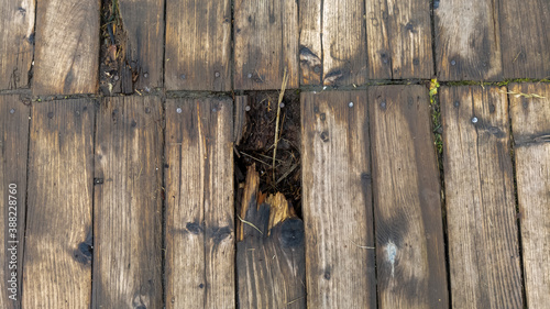 old wood texture with hole