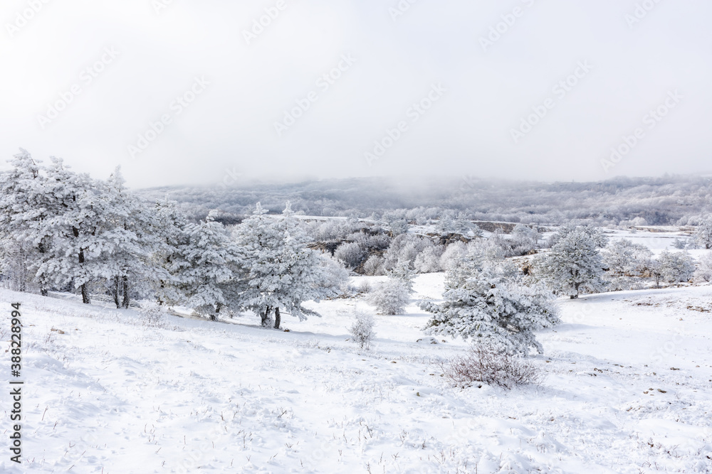 Fototapeta premium Panorama of winter landscape with snow-covered pine forest in the mountains of Crimea. Charming fairy-tale view of AI-Petri . The concept of winter holidays, travel, adventure and recreation.