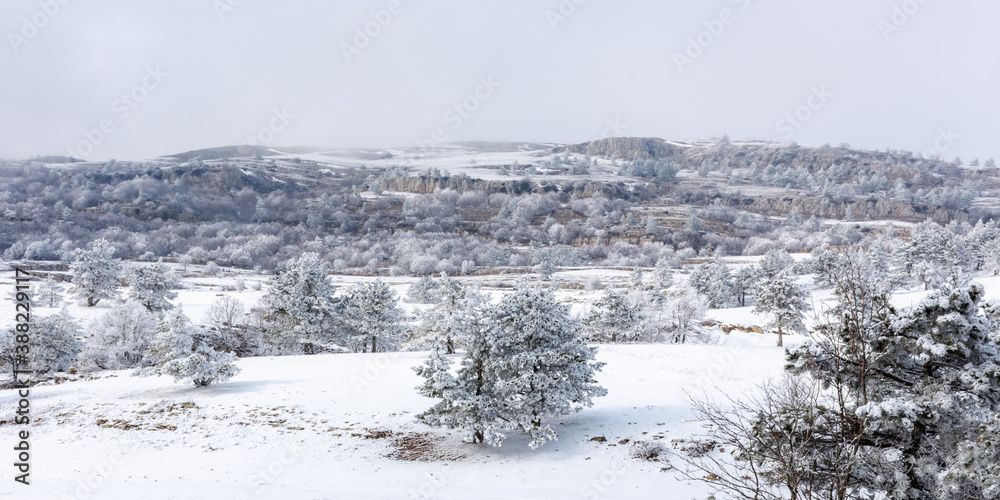 Panorama of winter landscape with snow-covered pine forest in the mountains of Crimea. Charming fairy-tale view of AI-Petri . The concept of winter holidays, travel, adventure and recreation.